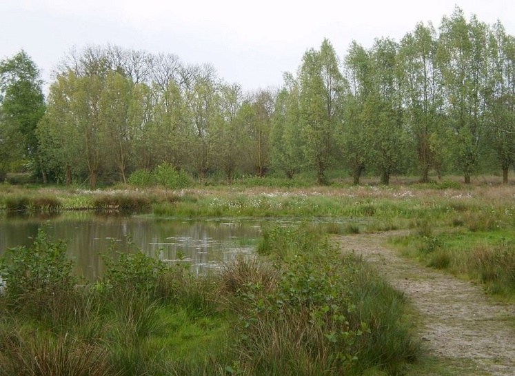 Beekbergerwoud bij Apeldoorn